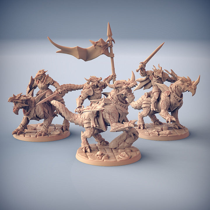 The Dragonguard by Artisan Guild 3D Printed DnD Pathfinder Minis