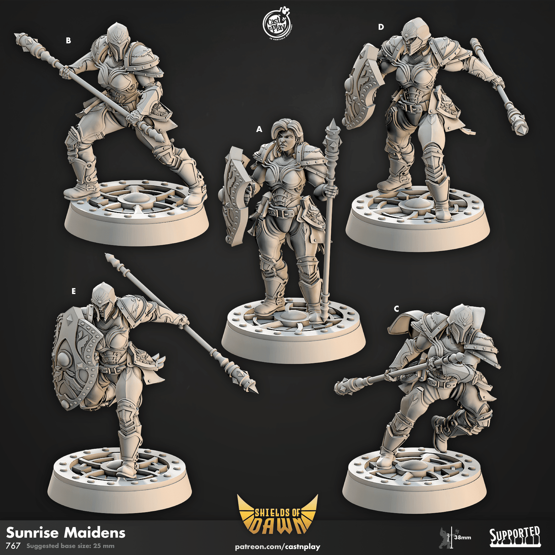 Shields of Dawn by Cast N Play 3D Printed DnD Pathfinder Tabletop Resin Miniatures by Magical Mini Workshop