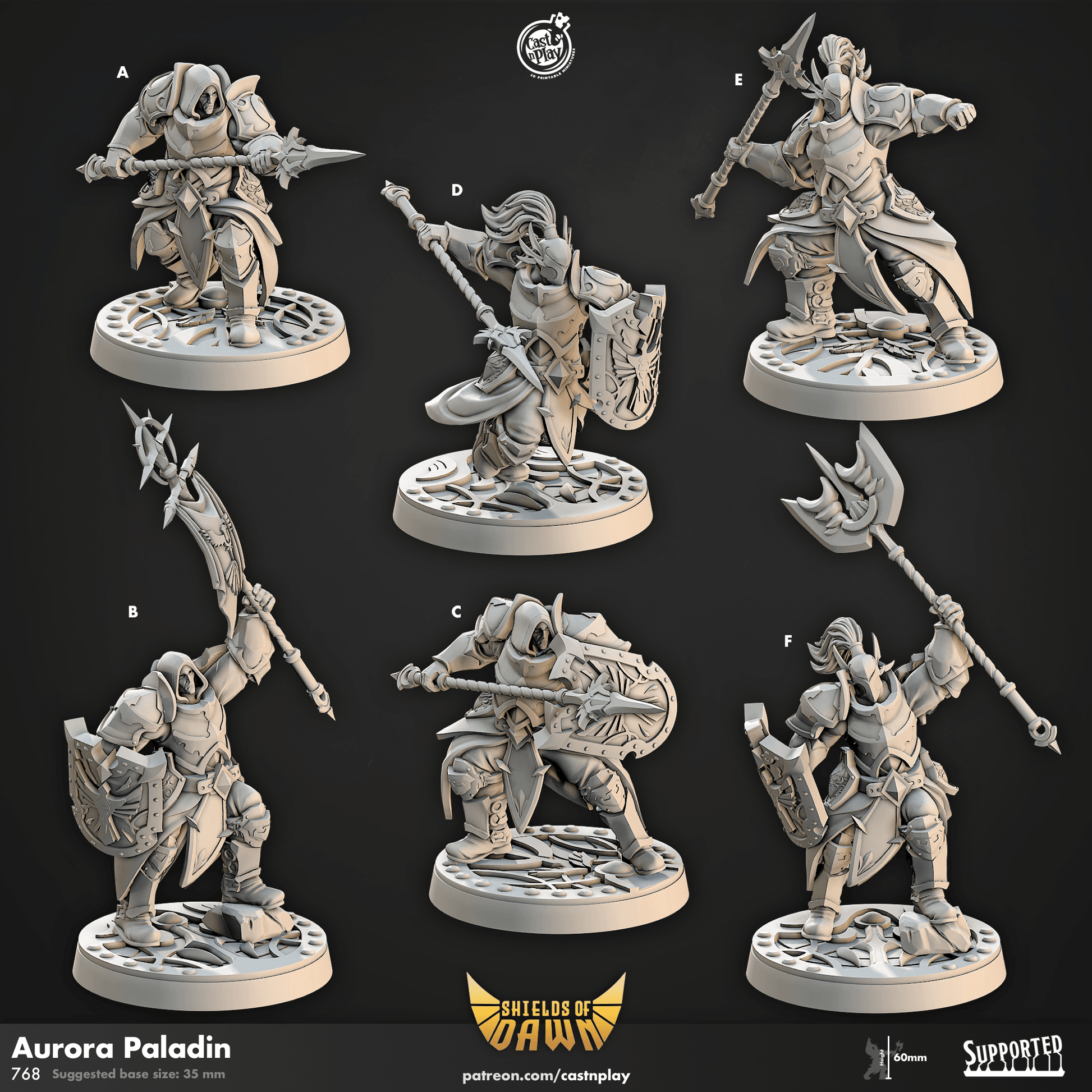 Shields of Dawn by Cast N Play 3D Printed DnD Pathfinder Tabletop Resin Miniatures by Magical Mini Workshop