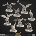 Shields of Dawn by Cast N Play 3D Printed DnD Pathfinder Tabletop Resin Miniatures by Magical Mini Workshop
